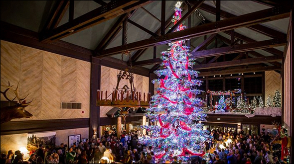 Tenaya Lodge Holiday Tree Lighting and Toy Drive Honors Childhood Cancer Survivor and Family